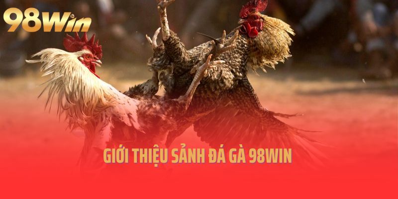 Giới thiệu sảnh đá gà 98Win 