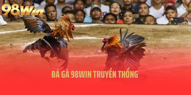 Đá gà 98Win truyền thống 