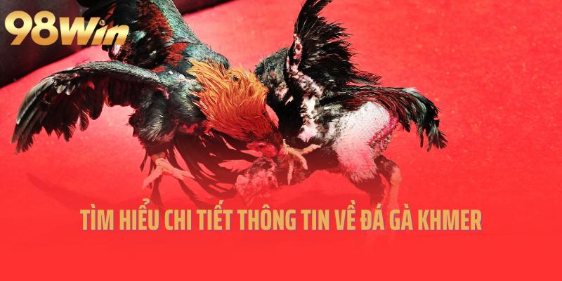 Tìm hiểu chi tiết thông tin về đá gà Khmer