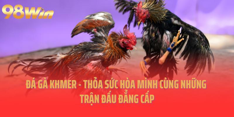 Đá Gà Khmer - Thỏa Sức Hòa Mình Cùng Những Trận Đấu Đẳng Cấp