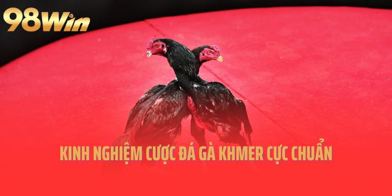 Kinh nghiệm cược đá gà Khmer cực chuẩn